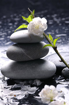 Stacked stones with flower and water drops