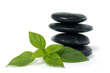 Fototapeta na wymiar Spa massage treatment stones with balm leaf herb
