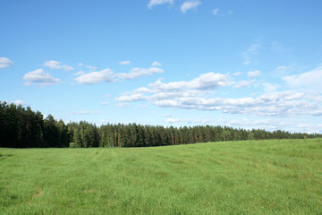 Blue sky and green field