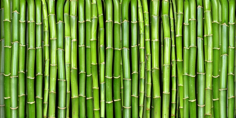 Fotobehang bamboe © ded