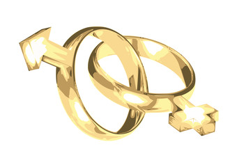 wedding rings as symbol of mars and venus © ded