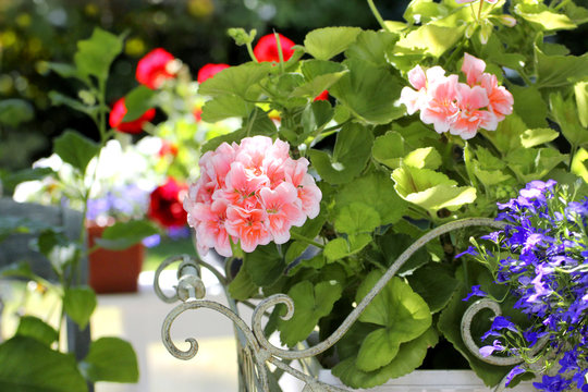 gartenzeit-bl&uuml;ten-accessoires