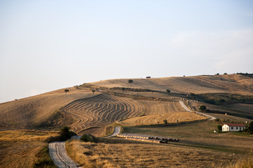 strada in campi di grano