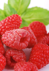 Maliny © Justyna Kaminska