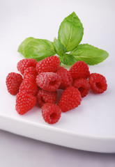 Maliny © Justyna Kaminska