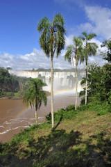 Landscape of Iguazu waterfalls in Argentina