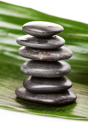black stones and green leaf
