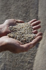 gravel sand in man hands in quarry background