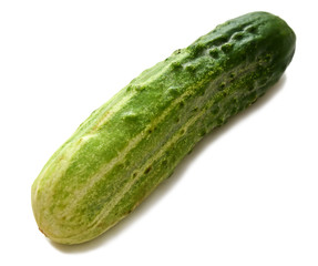 Cucumber