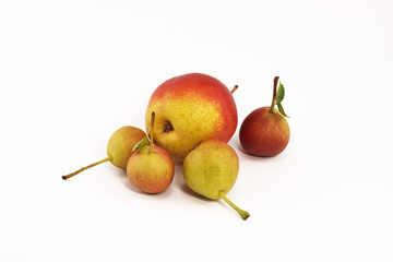 birnen