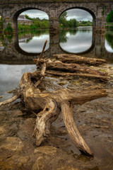 wooden snag and stone bridge detail on the  river, HDR image