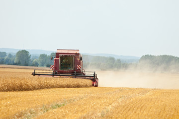 Obraz premium Mähdrescher