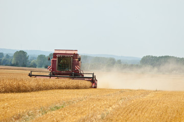 Fototapeta premium Mähdrescher