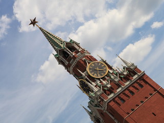 Fototapeta premium Kremlin tower (Moscow, Russia)