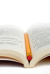 Obraz premium education