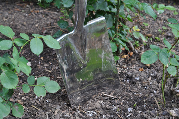 3904 - Gartenarbeit