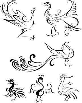 bird abstract illustration