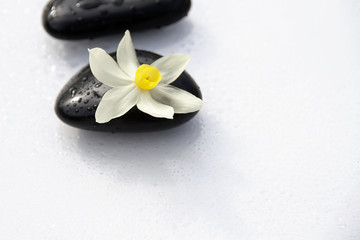 Fototapeta na wymiar Black stones with flower