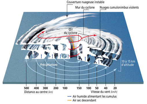Cyclones, ouragans et typhons - Structure d'un cyclone