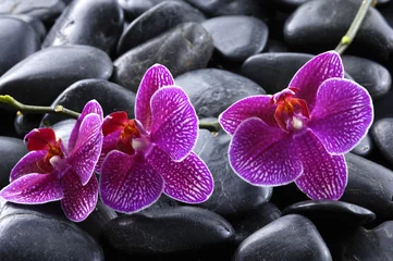 Foto auf Acrylglas Stillleben mit Kiesel und Orchidee © Mee Ting