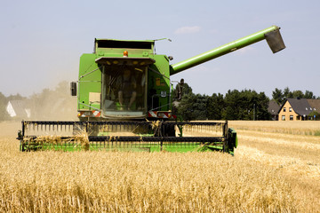 Fototapeta premium Ernte 02