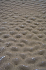 relief of sea sand
