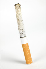 cigarette qui se consume sur fond blanc