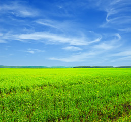 Fototapeta premium landscape