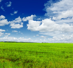 Obraz premium landscape