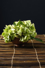 Bouquet of green hydrangea flower on bamboo mat