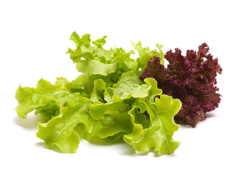 Leaves of red and green lettuce on a white background.