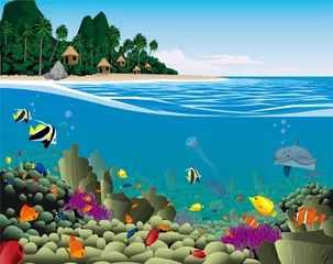 Gordijnen Onderwaterlandschap met koralen © urbancolors