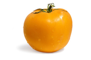 yellow tomato on white background