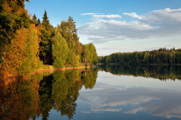 Sunny autumnal forest near the lake