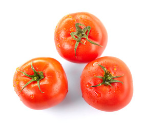 fresh tomatoes on the white background