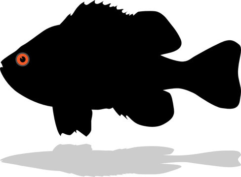 recommend clip art: fish vector