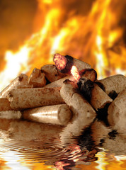 Holzpellets mit Feuer und Glut