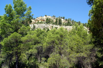 Fototapeta na wymiar Cabriel Gorges Natural Park w Hiszpanii