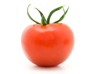 Red tomato