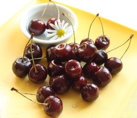 Black cherry in a small bowel on yellow plate