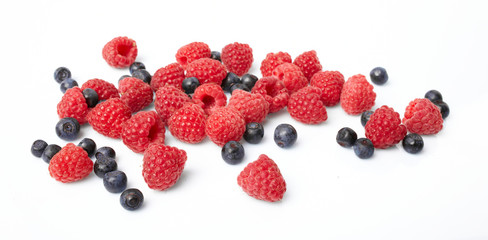 berries on white background