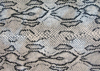 snake closeup texture, danger cobra zigzag concept, natural python leather patternt diversity