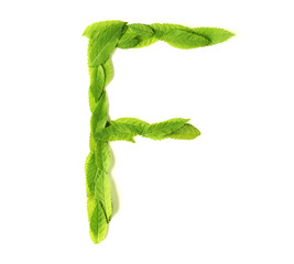 Leaf letters
