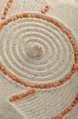 Fototapeta na wymiar Muschel im Sand mit Spuren