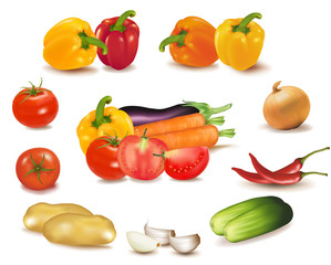 The colorful group of vegetables. Photo-realistic vector.