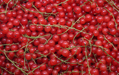 Currants