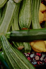 zucchini and patty pan squash