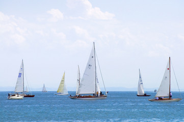 Segelboote am Bodensee