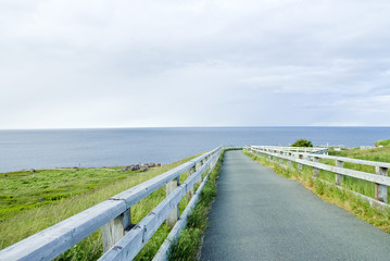 Fototapeta premium Fenced Path at Cape Spear