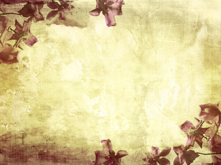 Beautiful grunge background with magnolia